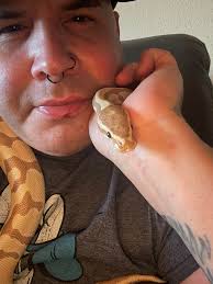 I'm not an egret, I'm a candy cane