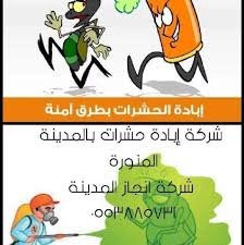 شركة مكافحة الثعابين والقوراض بالمدينة المنورة 0553885731 Lilo Comics