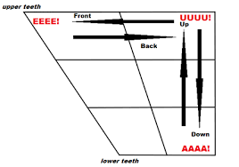 These are the 44 phonemes of standard english. Spanish Pronunciation The Ultimate Guide The Mimic Meth