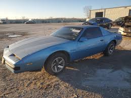 Image result for Bleu Clair 1988 ARO