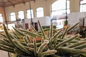 ¿qué pasa?can i talk to you? Villaviciosa Noticias De Total Actualidad Fotos Jose Antonio Rodriguez Muestra Mas De