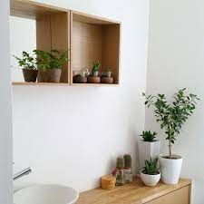 バス トイレ 無加工無修正 無印良品 グリーンのある暮らし 観葉植物 などのインテリア実例 2018 02 12 07 44 08 roomclip ルームクリップ インテリア インテリア 実例 インテリア スタイリッシュ
