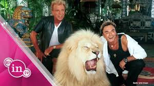 / gran fanático del culturismo femenino. Siegfried Und Roy Magier Bricht Schweigen Zur Tiger Attacke Youtube