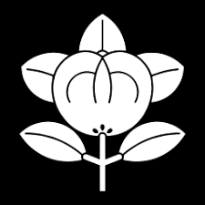 The meaning of kamei is a 'turtle well'. Maeda Clan Wikipedia