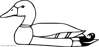 2 click on the coloring page image in the bottom half of the screen to make that frame active. Mallard Duck Coloring Pages Coloringall