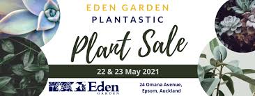 Where to buy edens garden. What S On Eden Garden