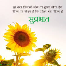 We did not find results for: 10 Best Good Morning Images For Whatsapp In Hindi