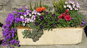 Cut all pieces to length using a circular saw. 37 Fabulous Garden Box Ideas