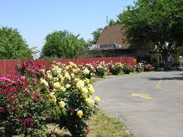 You can look at the address on the map. Visalia California Camping Photos Visalia Sequoia National Park Koa Journey