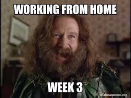 Companies from all over the world are shut down and start to work with their employees from home. Working From Home Week 3 Robin Williams What Year Is It Jumanji Make A Meme