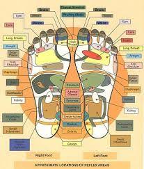 Foot Meridians Chart Fyi Foot Reflexology Reflexology