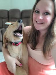 Gunner turned 13 today!🎂 His crimes include; counter surfing, opening up  Mom's work bag and crewing the dirty containers open to lick clean, being  an a$$ in the car, so has to