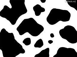 Black And White Cow Print Wallpaper Animal Print For Pc 35719 Wallpaper Wallpaper Cow Print Wallpaper Cow Print Cow Birthday
