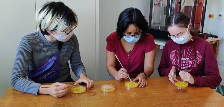 The blob creeps into the homes of the French | CNRS News