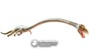 Image result for Tanystropheus