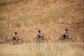 Next year we will be piloting an 8th grade njrotc progr.am. Cactus Canyon Jr High Home Facebook