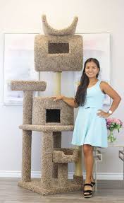 Buy and sell almost anything on gumtree classifieds. Prestige Cat Trees 7 Foot Tall Carpeted Cat Tree