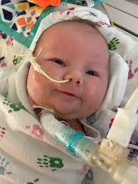 Husband wants to abandon newborn triplets