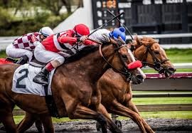 Race 1 at gulfstream park on thursday is a 5 furlong maiden special weight for 2 year olds with a purse of $65,000 and field of 8. How To Elevate Your Bets With Gulfstream Park Picks Everything Horse