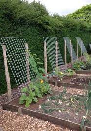 Our Beginner Gardening Tips Raised Garden Bed Tips A Hosting Home Backyard Vegetable Gardens Small Vegetable Gardens Vegetable Garden Design