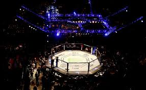 Ufc 259 ufc 259 was headlined by a trio of title fights. Mma Ufc Oktagon Aktualne Cz