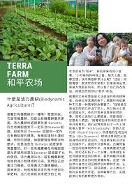 Share raine, horne & zaki property management sdn bhd. Terra Farm Veggie Box