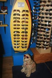The Sunglass Shop On Ocracoke S Ruby The Shop Dawg Montras