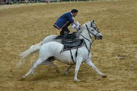 Esta página se editó por última vez el 21 oct 2020 a las 20:49. Compagnie Impulsion En 2017 Site De Fanequin1