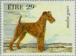 Irish Terrier Canis Lupus Familiaris Irish Terrier Stamp Collecting Stamp