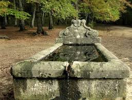 Fountain In The Manziana Woods Fountain Outdoor Garden Sculpture