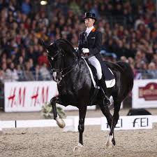 Anky became the world champion freestyle in the hague in 1994. Anky And Salinero Mooie Paarden Paarden