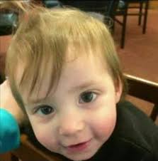 fatal pit bull attack Archives