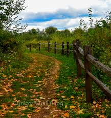 It's a great place for hiking , bird watching, viewing wildlife and enjoying beautiful wildflowers. Jackson Bottom Wetlands Preserve Part 2 Unicorn Trail Gang