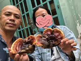 Nhật ký bệnh nhân K ĐỒNG TIỀN TRẢ LẠI “Anh Tuệ Lâm ơi anh còn nhớ em không,  em là Thuý ở Long An, bệnh nhân K vú di căn xương phải