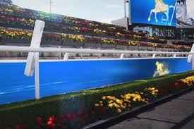 Submit your enquiry to book royal randwick racecourse now! Sydney S Rosehill Gardens And Royal Randwick Racecourses To Offer Enhanced Digital Experience Australasian Leisure Management
