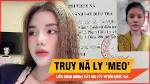 Truy nã nữ Ly “meo” liên quan đường dây ma túy xuyên quốc gia