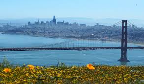 It takes a little time to shift course, but when it shifts course, it builds tremendous momentum. [see how the vaccine rollout is going in california and. San Francisco Wikipedia