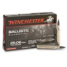 winchester supreme ballistic silvertip 25 06 remington bst 115 grain 20 rounds