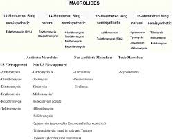Image result for Macrolide