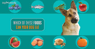 25 Human Foods That Dogs Can And Cannot Eat Dogs Naturally Human Food For Dogs Can Dogs Eat Apples Can Dogs Eat