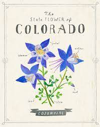 Pin On Colorado Information
