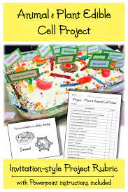 The term clade comes from the greek word klados. Animal Plant Edible Cell Cake Model Project Rubric Powerpoint Instructions Edible Cell Project Edible Cell Cell Project