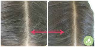 Most natural health care experts agree that going without hair dye altogether is the safest route. Henna How To A Guide To Truly Natural Hair Color Mommy Greenest