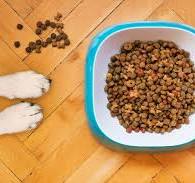 Making Sense of Pet Food Labeling – Dr. Judy Morgan's ...