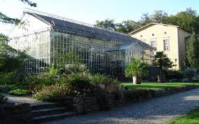 Die schauanlagen des botanischen gartens umfassen etwa 5 ha. Botanischer Garten In Potsdam 10 000 Pflanzenarten Aus Aller Welt