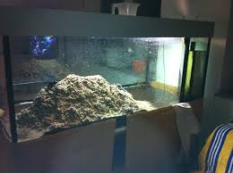 Quarzkies Ist Fur Meerwasser Nicht Geeignet Und Muss Raus Meerwasser Aquarium Korallen Saltwater Katzen Aquari Aquarium Meerwasser Susswasseraquarium