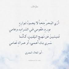 شعر أبو العلاء المعري أرى البحر ملحا لا يجود لوارد Arabic Poetry Words Quotes