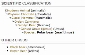 Polar Bear Taxonomy Classification Chart Google Search