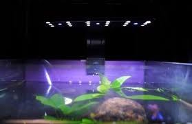 Led lighting systems are great for a number of. Best Clip On Led Lights And Fixtures For Nano Tanks Or Bowls Around 5 Gallons