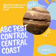 We are proudly family owned and operated, offering our services all across the central coast. Abc Pest Control Newcastle Home Facebook
